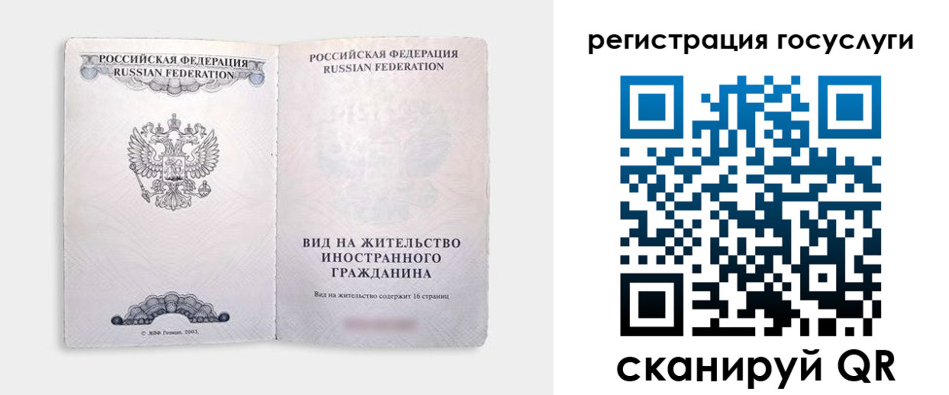 прописка поиск в Долгопрудном